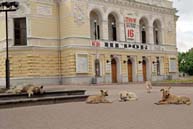 билетов не досталось